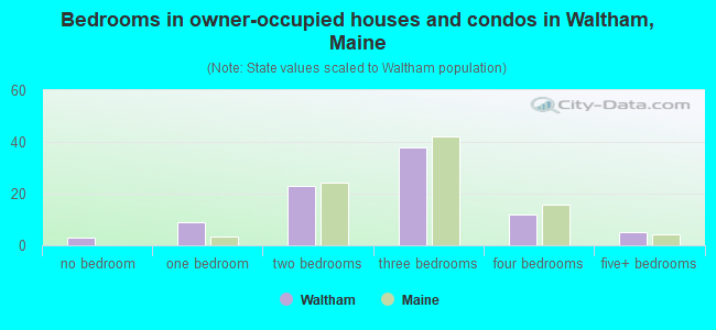 Bedrooms in owner-occupied houses and condos in Waltham, Maine