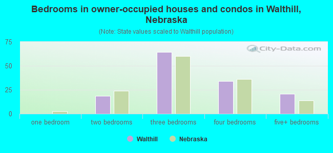 Bedrooms in owner-occupied houses and condos in Walthill, Nebraska