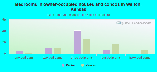 Bedrooms in owner-occupied houses and condos in Walton, Kansas