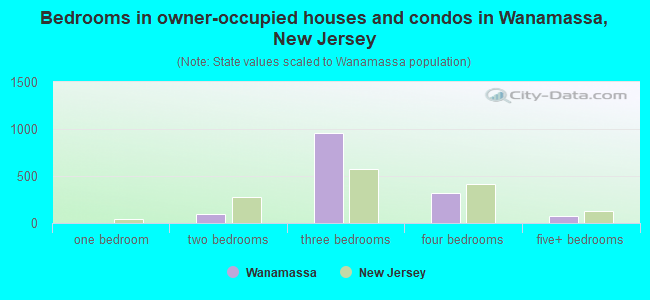 Bedrooms in owner-occupied houses and condos in Wanamassa, New Jersey