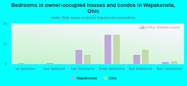 Bedrooms in owner-occupied houses and condos in Wapakoneta, Ohio