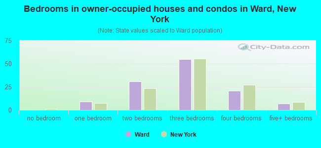 Bedrooms in owner-occupied houses and condos in Ward, New York