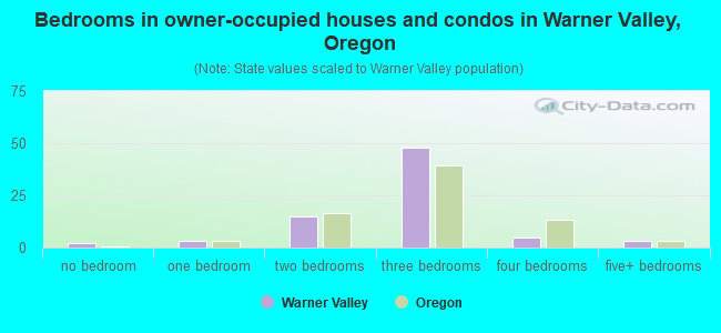 Bedrooms in owner-occupied houses and condos in Warner Valley, Oregon