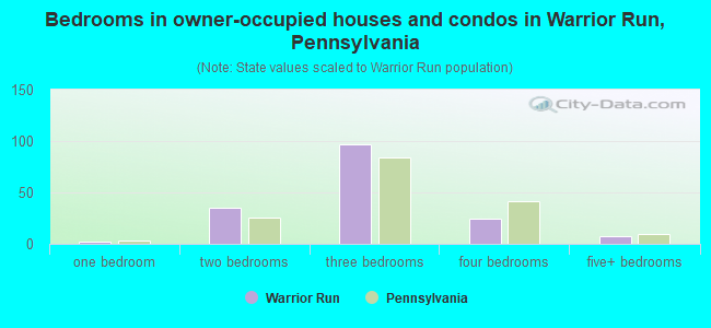 Bedrooms in owner-occupied houses and condos in Warrior Run, Pennsylvania