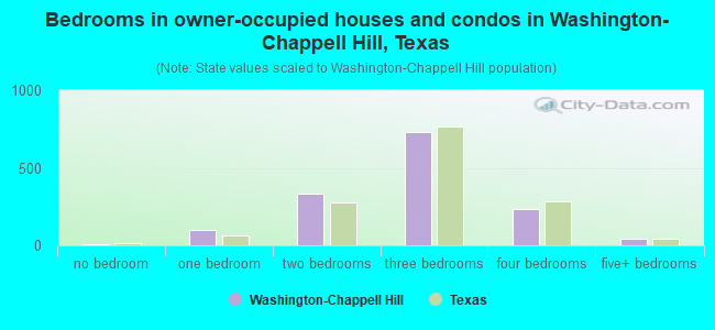 Bedrooms in owner-occupied houses and condos in Washington-Chappell Hill, Texas