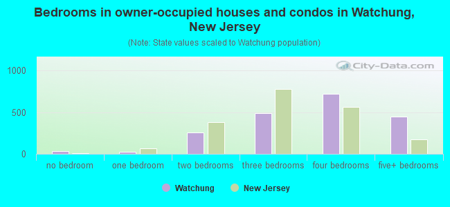 Bedrooms in owner-occupied houses and condos in Watchung, New Jersey