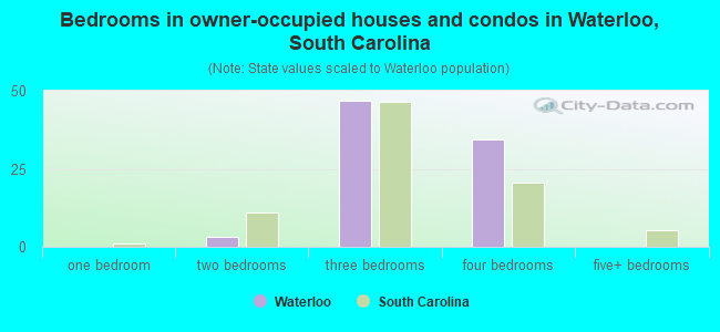 Bedrooms in owner-occupied houses and condos in Waterloo, South Carolina