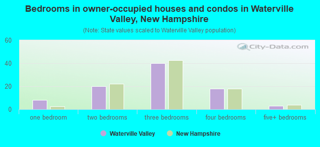 Bedrooms in owner-occupied houses and condos in Waterville Valley, New Hampshire