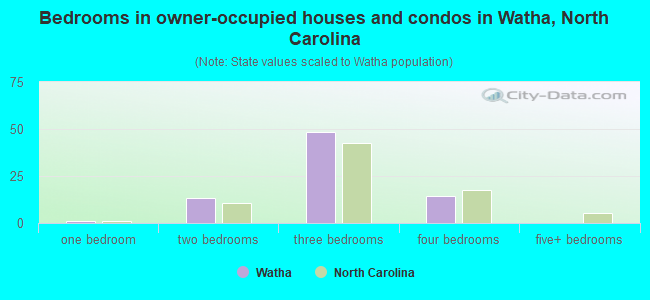 Bedrooms in owner-occupied houses and condos in Watha, North Carolina