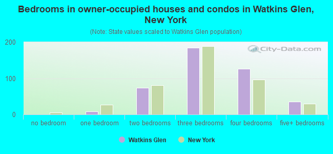 Bedrooms in owner-occupied houses and condos in Watkins Glen, New York