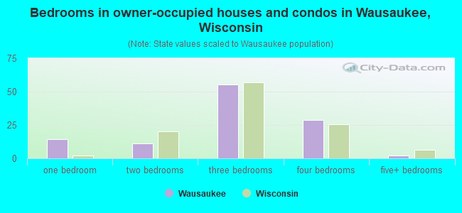 Bedrooms in owner-occupied houses and condos in Wausaukee, Wisconsin