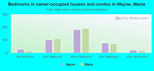 Bedrooms in owner-occupied houses and condos in Wayne, Maine