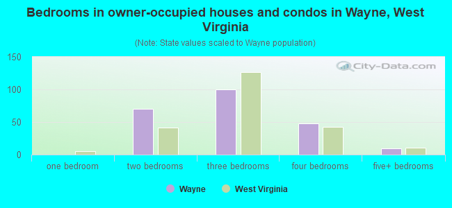 Bedrooms in owner-occupied houses and condos in Wayne, West Virginia