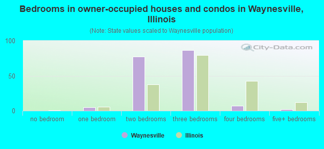 Bedrooms in owner-occupied houses and condos in Waynesville, Illinois