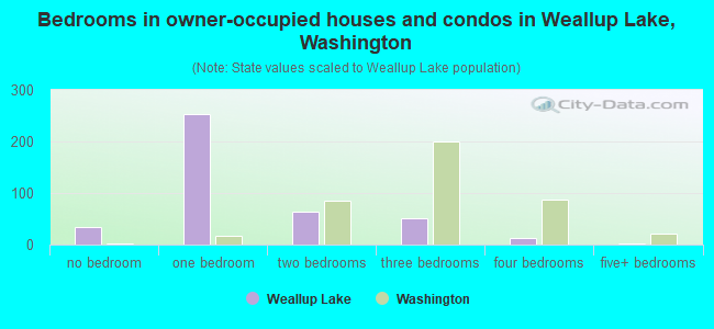Bedrooms in owner-occupied houses and condos in Weallup Lake, Washington