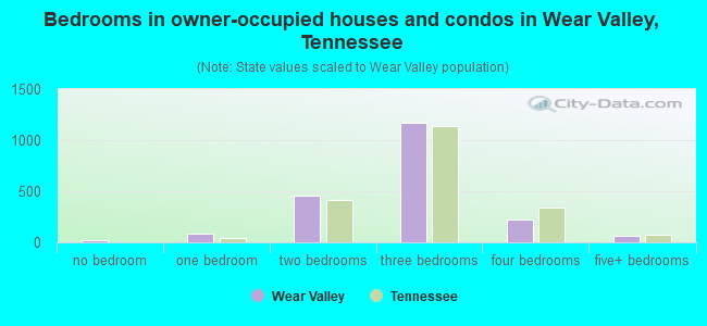 Bedrooms in owner-occupied houses and condos in Wear Valley, Tennessee