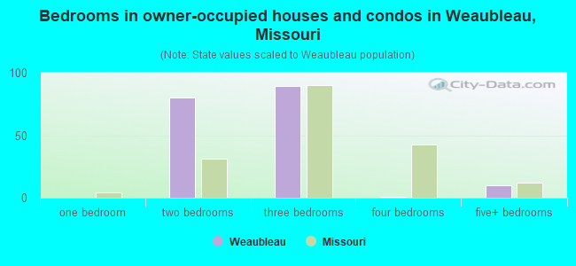 Bedrooms in owner-occupied houses and condos in Weaubleau, Missouri
