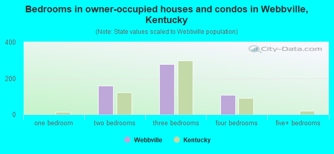 Bedrooms in owner-occupied houses and condos in Webbville, Kentucky