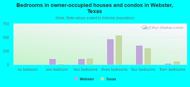Bedrooms in owner-occupied houses and condos in Webster, Texas
