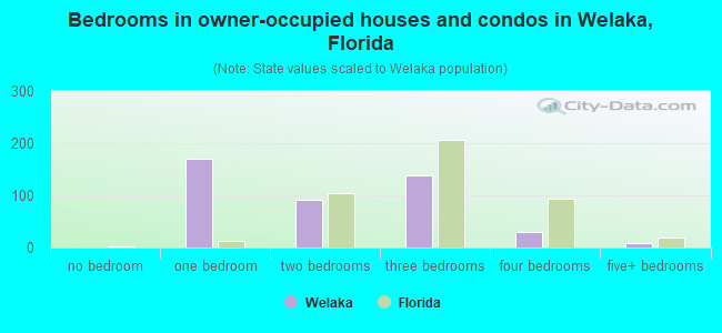 Bedrooms in owner-occupied houses and condos in Welaka, Florida