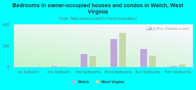 Bedrooms in owner-occupied houses and condos in Welch, West Virginia