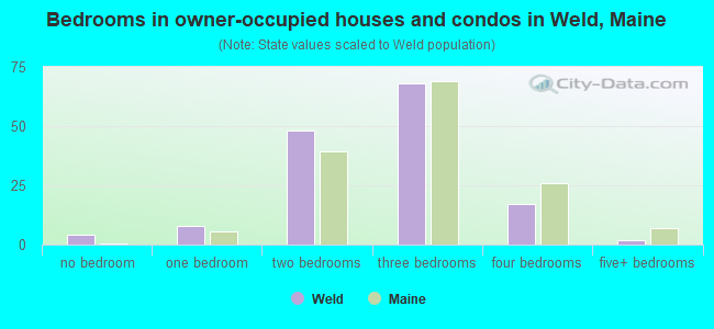 Bedrooms in owner-occupied houses and condos in Weld, Maine