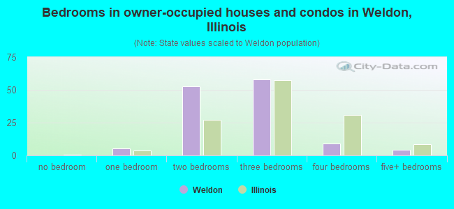 Bedrooms in owner-occupied houses and condos in Weldon, Illinois