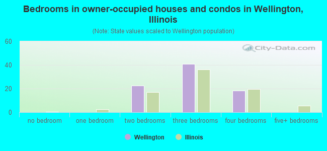 Bedrooms in owner-occupied houses and condos in Wellington, Illinois