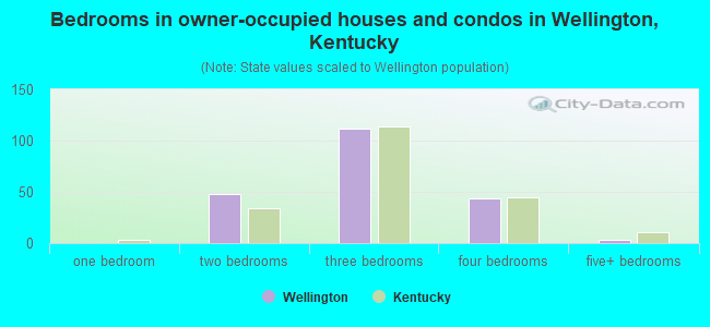 Bedrooms in owner-occupied houses and condos in Wellington, Kentucky