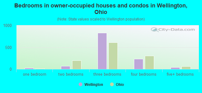 Bedrooms in owner-occupied houses and condos in Wellington, Ohio