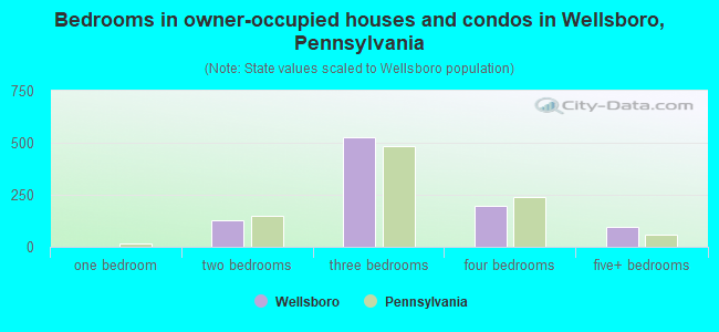Bedrooms in owner-occupied houses and condos in Wellsboro, Pennsylvania