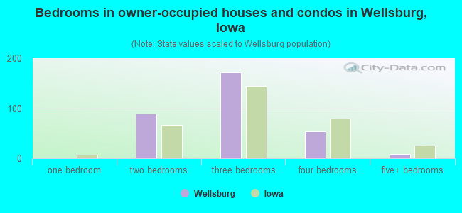 Bedrooms in owner-occupied houses and condos in Wellsburg, Iowa