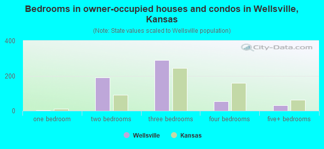 Bedrooms in owner-occupied houses and condos in Wellsville, Kansas