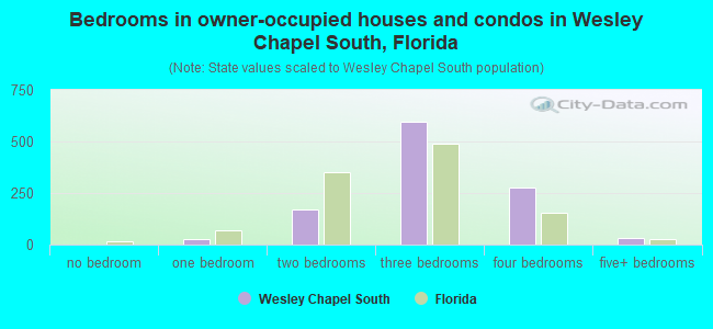 Bedrooms in owner-occupied houses and condos in Wesley Chapel South, Florida