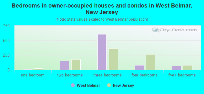 Bedrooms in owner-occupied houses and condos in West Belmar, New Jersey