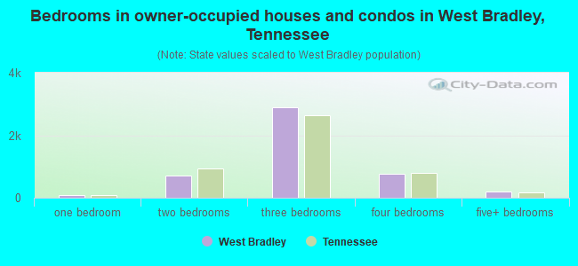 Bedrooms in owner-occupied houses and condos in West Bradley, Tennessee