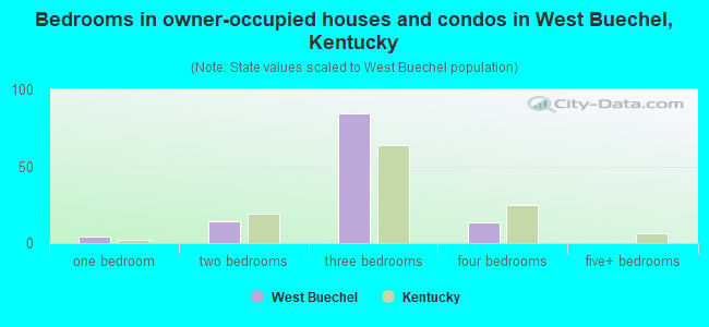 Bedrooms in owner-occupied houses and condos in West Buechel, Kentucky