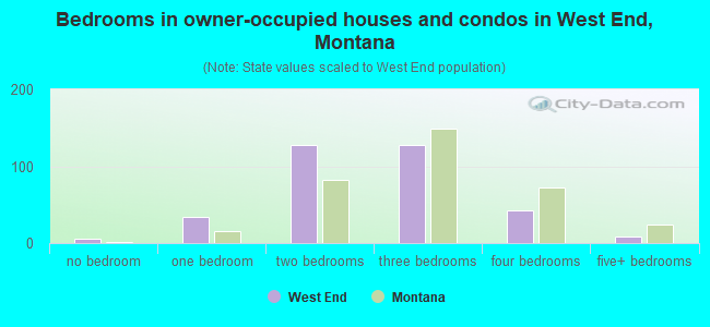 Bedrooms in owner-occupied houses and condos in West End, Montana