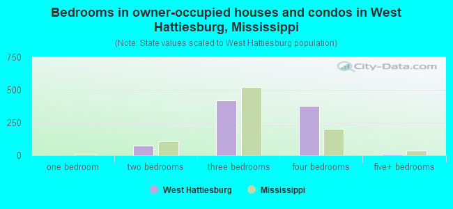 Bedrooms in owner-occupied houses and condos in West Hattiesburg, Mississippi