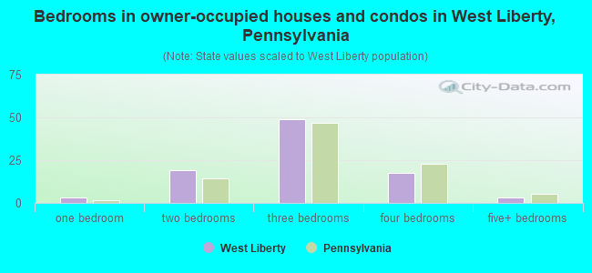 Bedrooms in owner-occupied houses and condos in West Liberty, Pennsylvania
