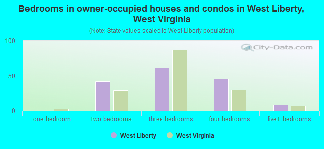 Bedrooms in owner-occupied houses and condos in West Liberty, West Virginia