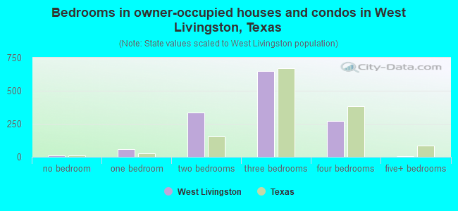 Bedrooms in owner-occupied houses and condos in West Livingston, Texas