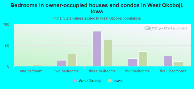 Bedrooms in owner-occupied houses and condos in West Okoboji, Iowa