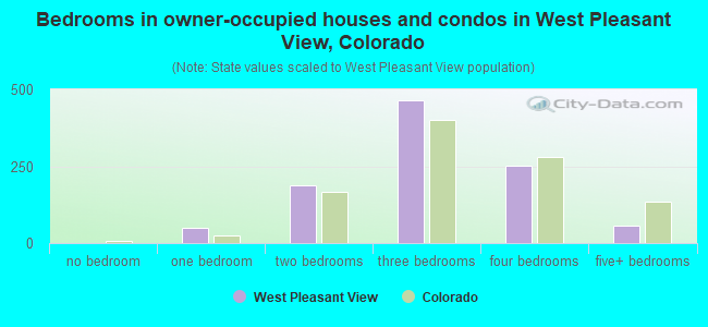 Bedrooms in owner-occupied houses and condos in West Pleasant View, Colorado