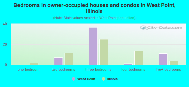 Bedrooms in owner-occupied houses and condos in West Point, Illinois