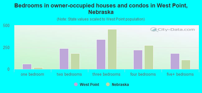 Bedrooms in owner-occupied houses and condos in West Point, Nebraska
