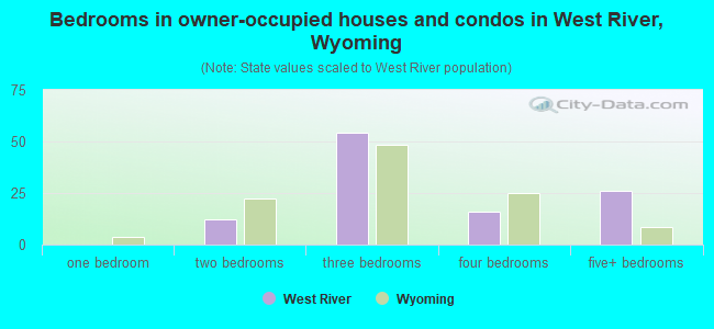 Bedrooms in owner-occupied houses and condos in West River, Wyoming
