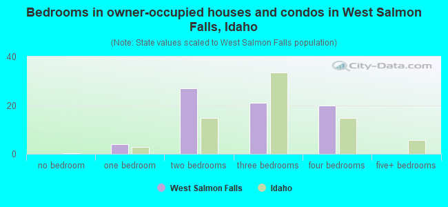 Bedrooms in owner-occupied houses and condos in West Salmon Falls, Idaho