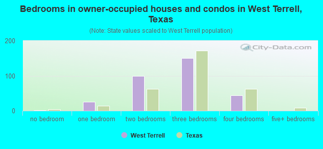 Bedrooms in owner-occupied houses and condos in West Terrell, Texas