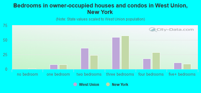 Bedrooms in owner-occupied houses and condos in West Union, New York